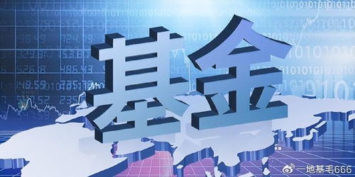 招商基金侯昊 為何此時放開基金限購？探尋企業自有資金入市的新機遇